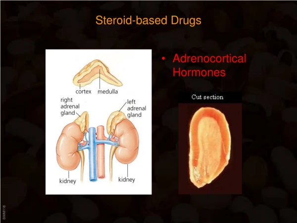 Steroid-based Drugs