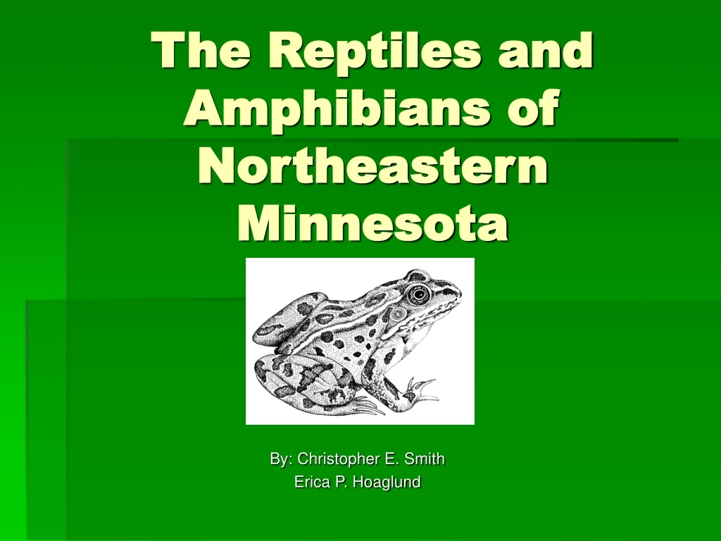 the reptiles and amphibians of northeastern minnesota