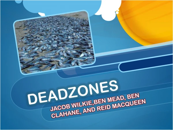 DEADZONES