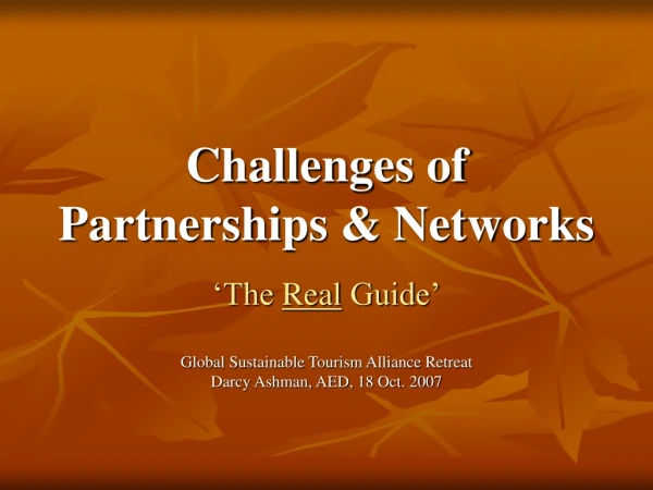 Challenges of Partnerships &amp; Networks