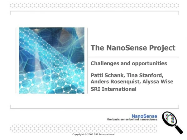 The NanoSense Project