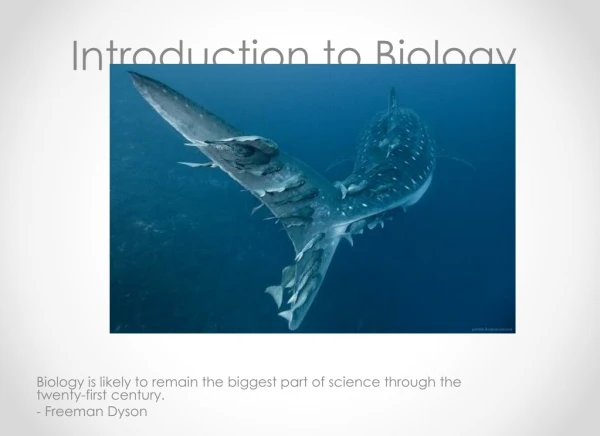 Introduction to Biology