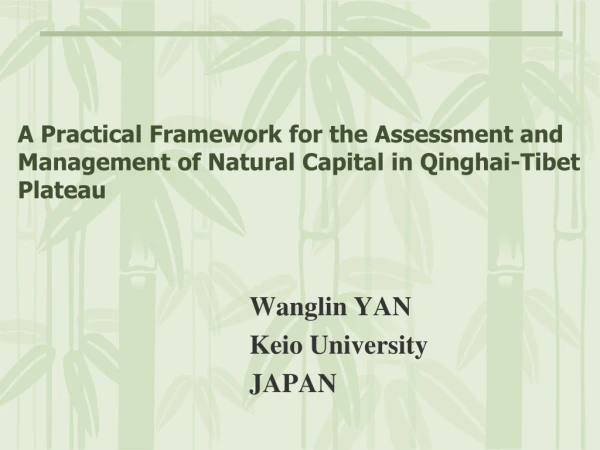 Wanglin YAN Keio University JAPAN