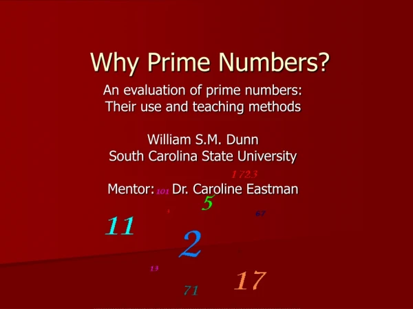 Why Prime Numbers?