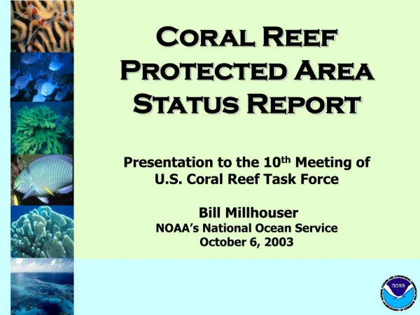 Coral Reef  Protected Area Status Report Presentation to the 10 th  Meeting of