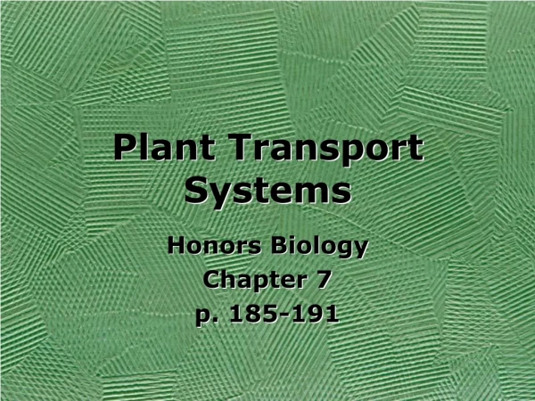Plant Transport Systems