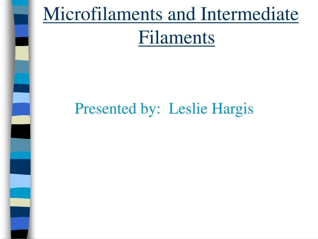 microfilaments and intermediate filaments presented by leslie hargis