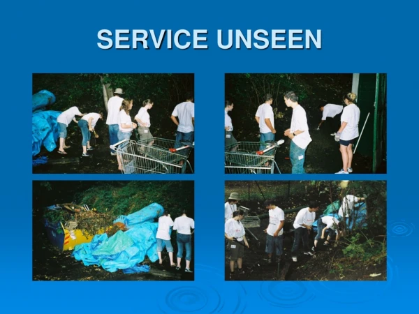 SERVICE UNSEEN