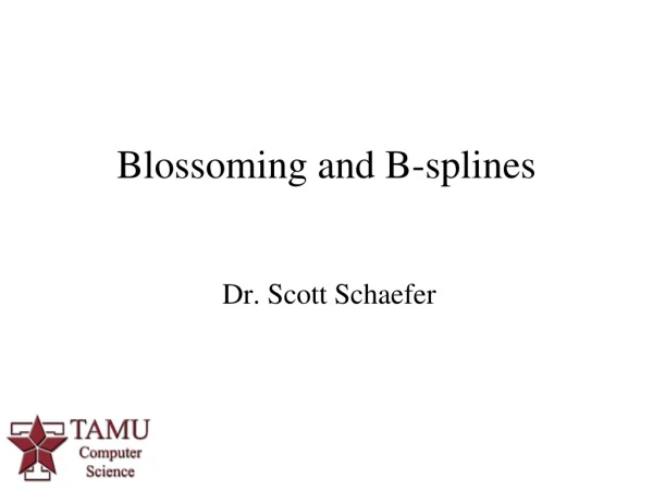 Blossoming and B-splines
