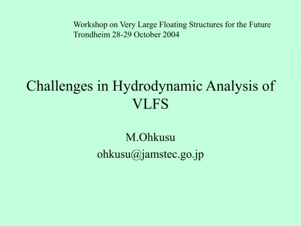Challenges in Hydrodynamic Analysis of VLFS