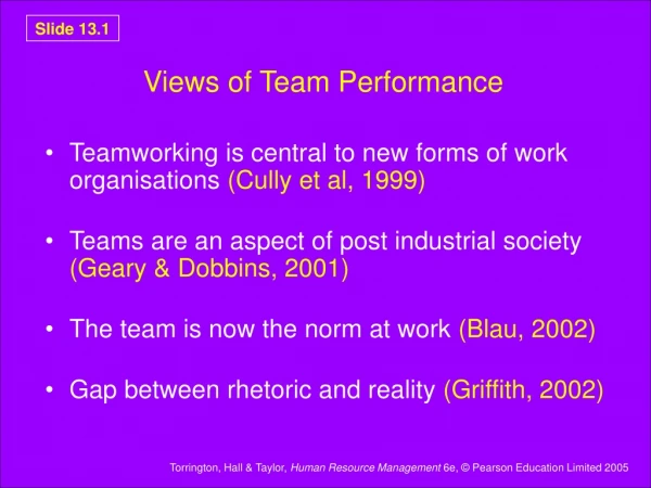 Views of Team Performance