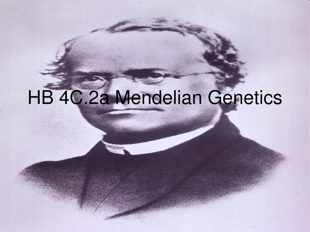 hb 4c 2a mendelian genetics