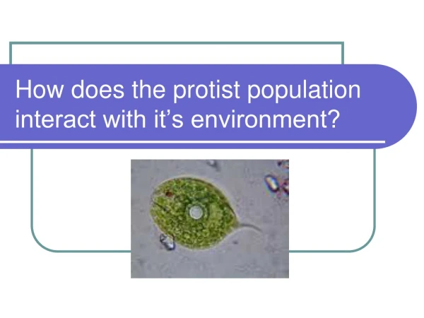 How does the protist population interact with it’s environment?