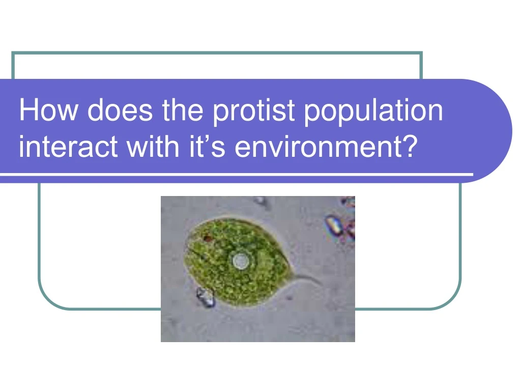 how does the protist population interact with it s environment
