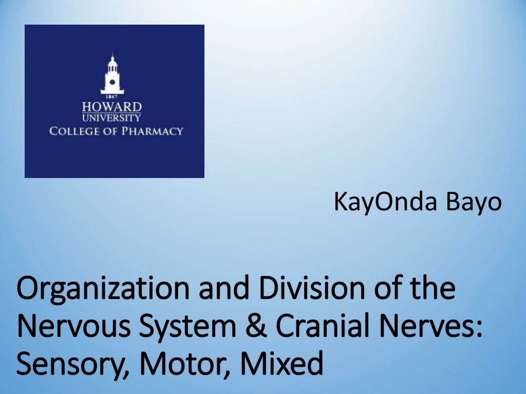 organization and division of the nervous system cranial nerves sensory motor mixed