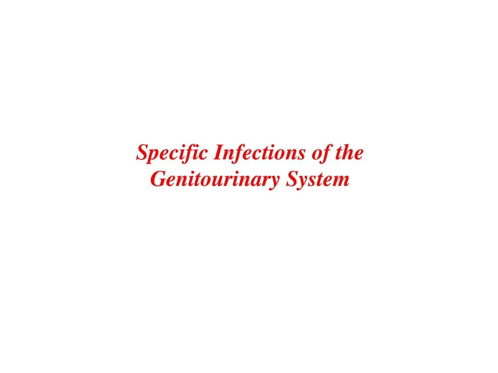 specific infections of the genitourinary system