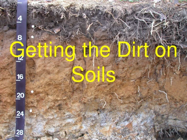 Getting the Dirt on Soils