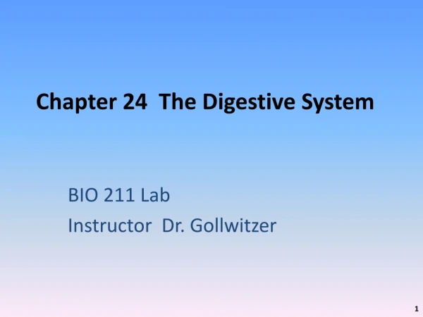 Chapter 24  The Digestive System