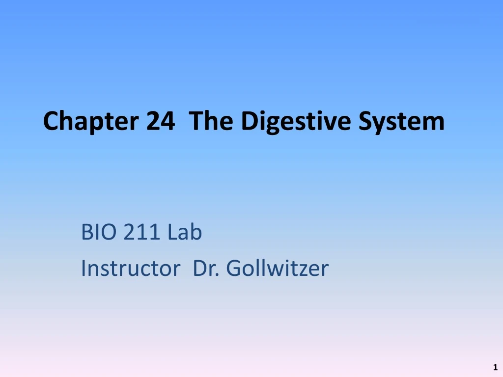 chapter 24 the digestive system