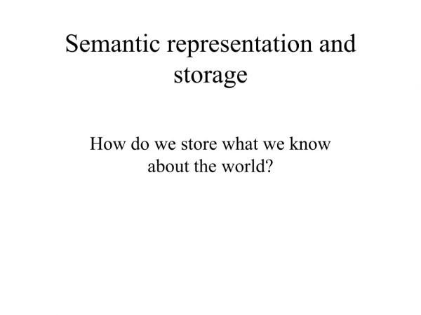 Semantic representation and storage