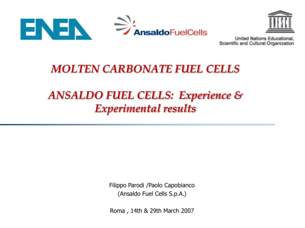 MOLTEN CARBONATE FUEL CELLS ANSALDO FUEL CELLS:  Experience &amp; Experimental results