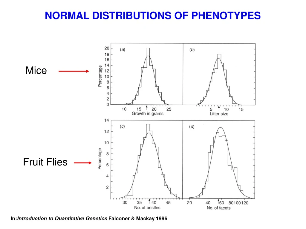 normal distributions of phenotypes