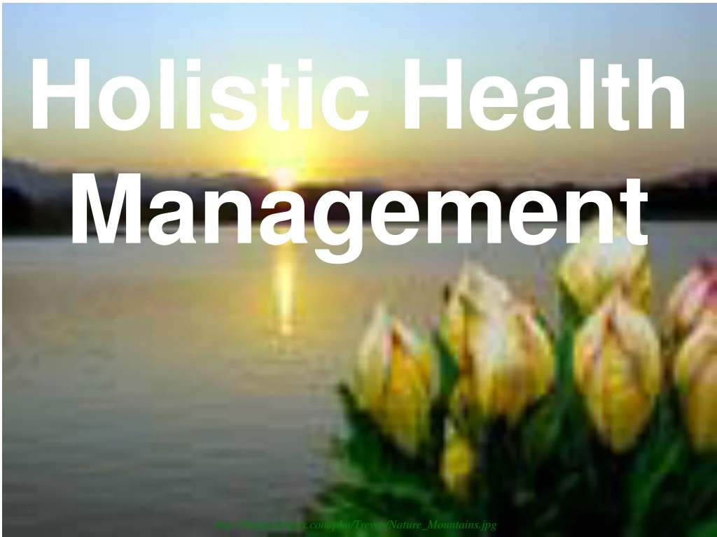 holistic health management