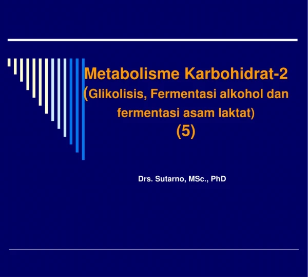 Metabolisme Karbohidrat-2 ( Glikolisis, Fermentasi alkohol dan fermentasi asam laktat) (5)