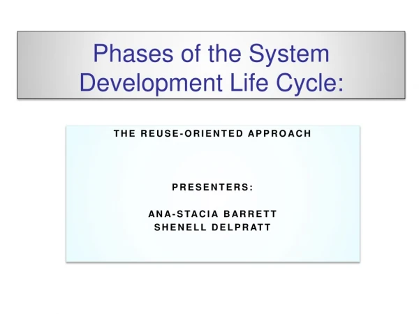 Phases of the System Development Life Cycle: