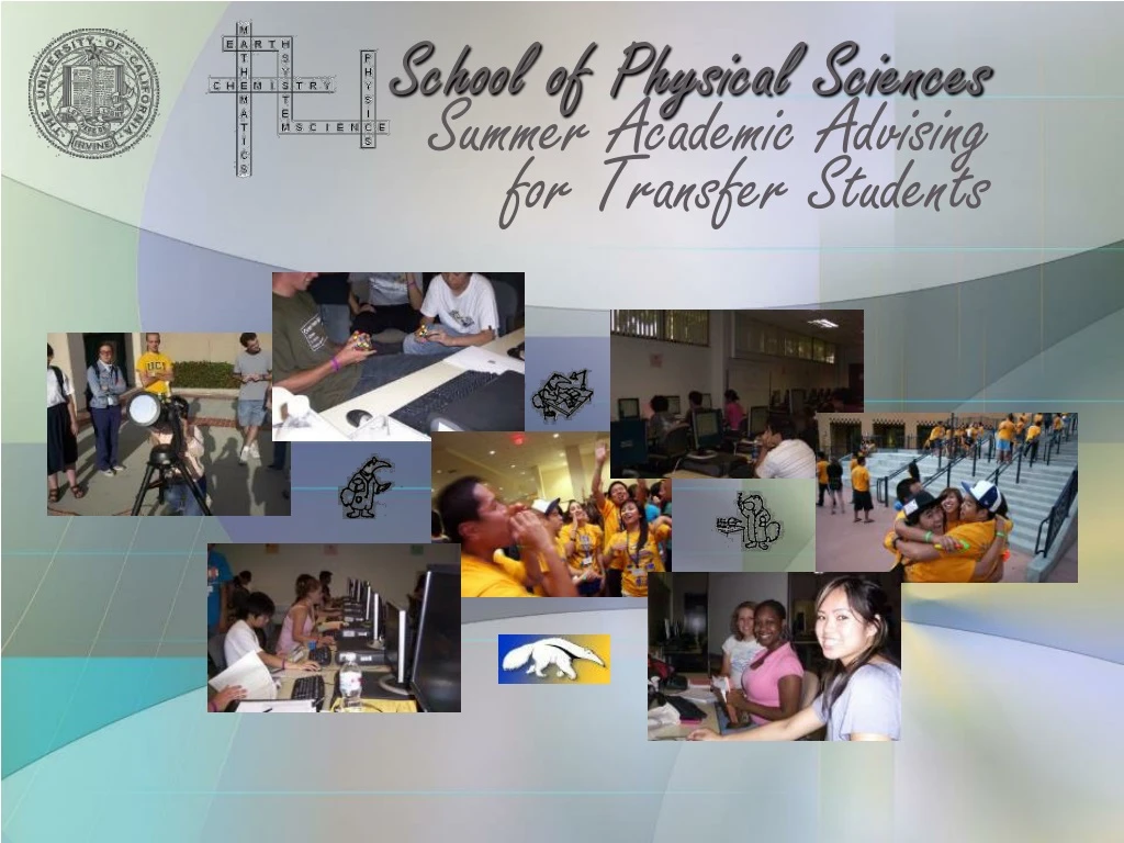 school of physical sciences