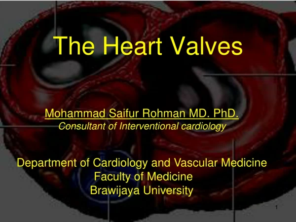The Heart Valves