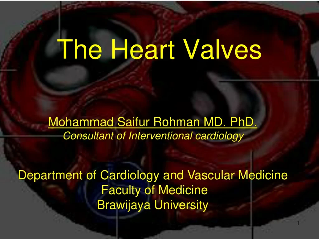 the heart valves