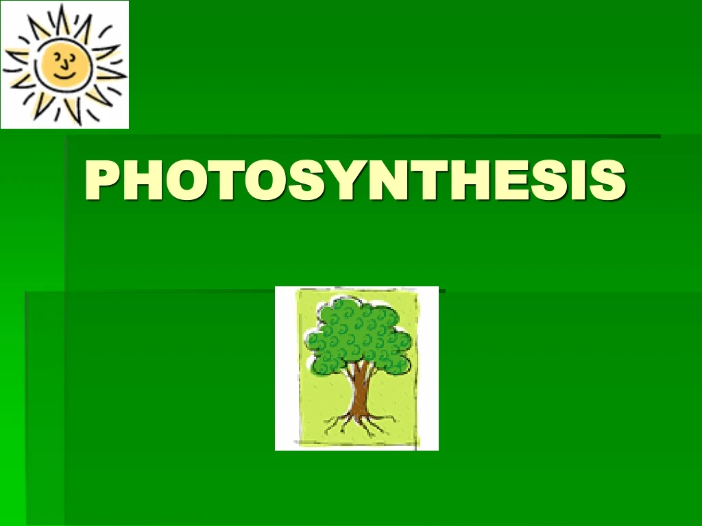 photosynthesis