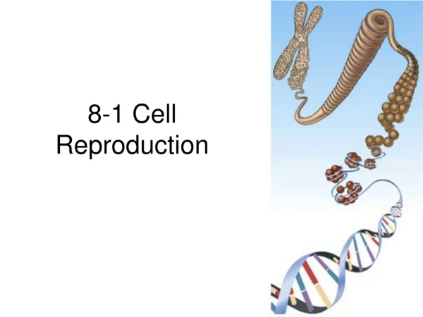 8-1 Cell Reproduction