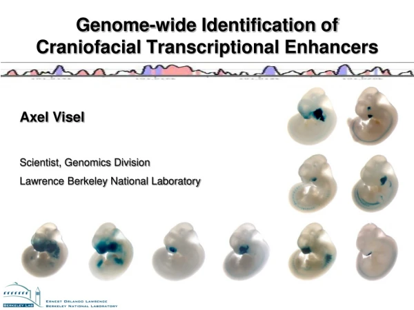 Genome-wide Identification of Craniofacial Transcriptional Enhancers