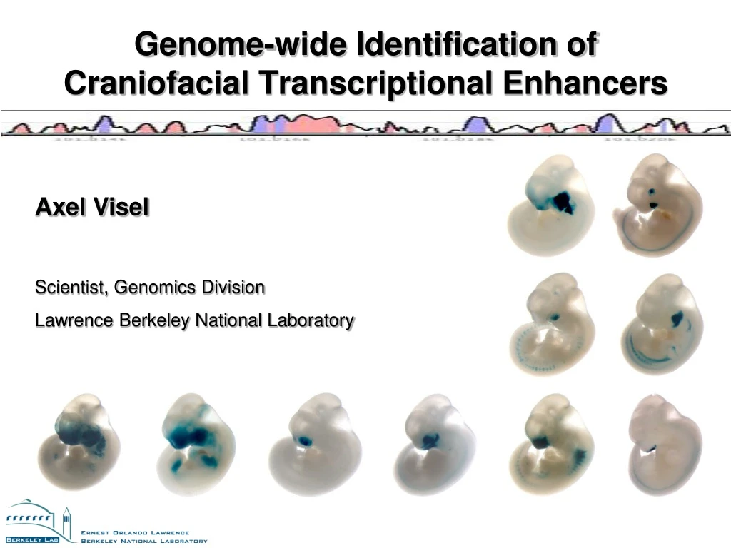 genome wide identification of craniofacial transcriptional enhancers