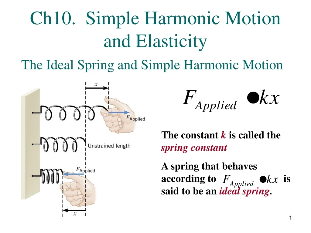 ch10 simple harmonic motion and elasticity
