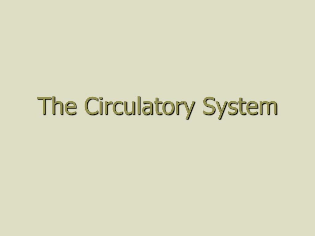 the circulatory system