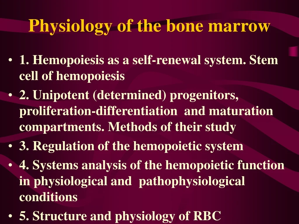 physiology of the bone marrow