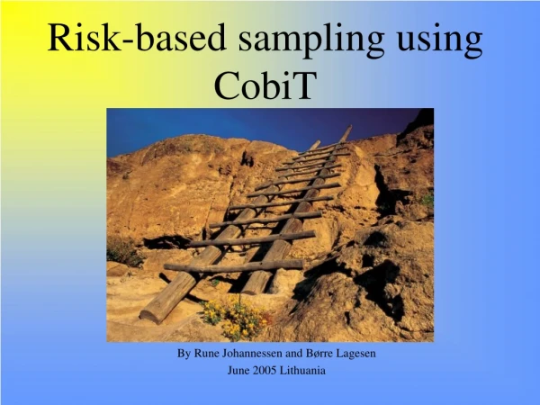 Risk-based sampling using CobiT