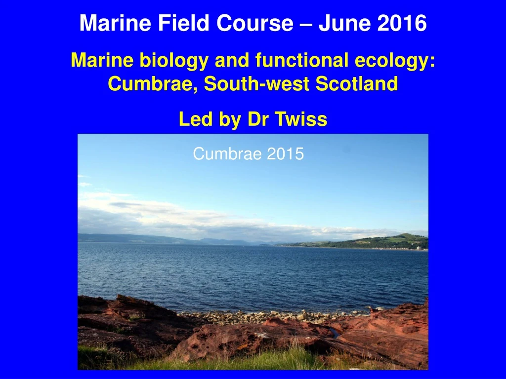marine field course june 2016 marine biology