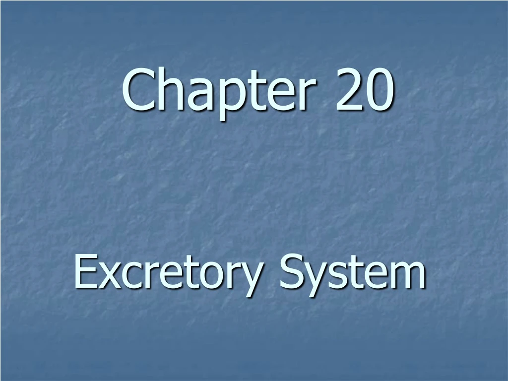 chapter 20