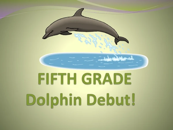 FIFTH GRADE  Dolphin Debut!