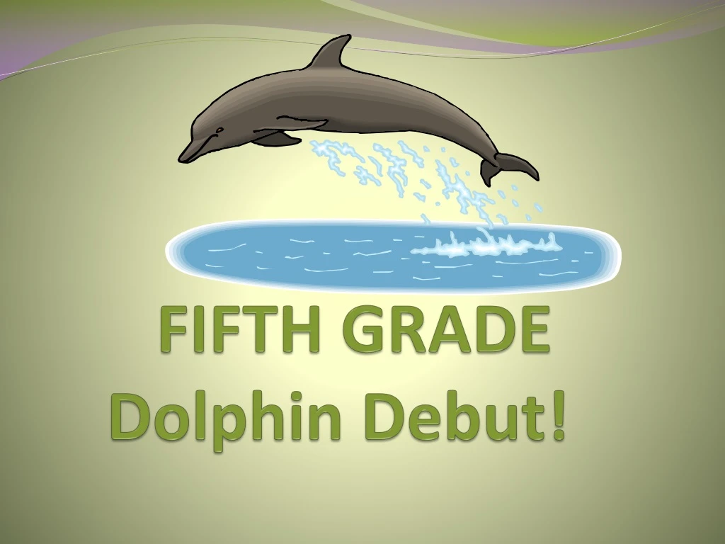 fifth grade dolphin debut