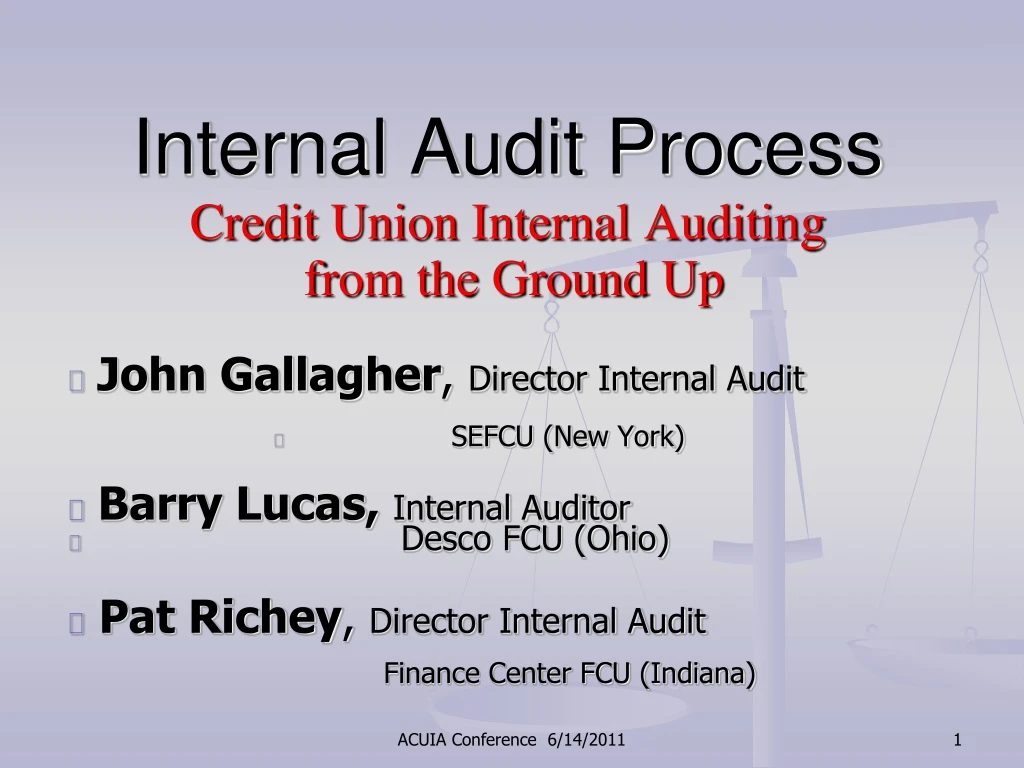 internal audit process