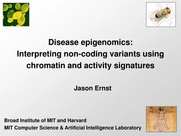 Disease epigenomics:  Interpreting non-coding variants using chromatin and activity signatures