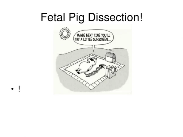 Fetal Pig Dissection!