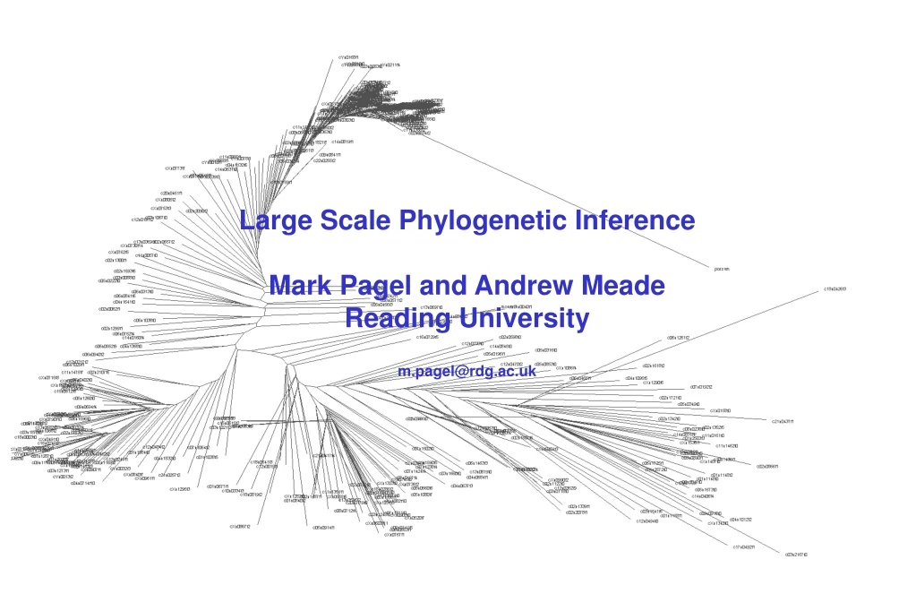 large scale phylogenetic inference mark pagel