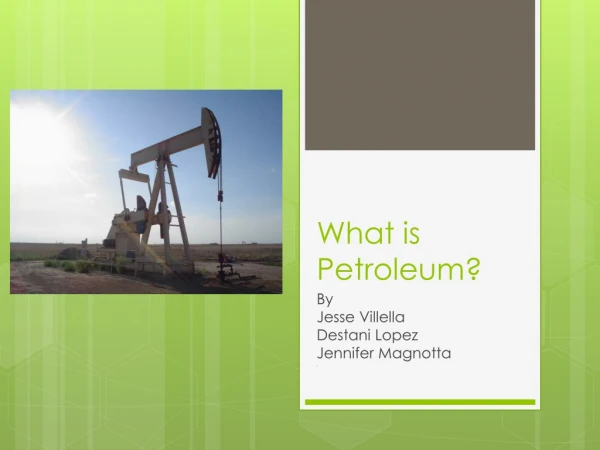 What is Petroleum?