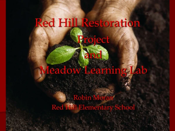 Red Hill Restoration